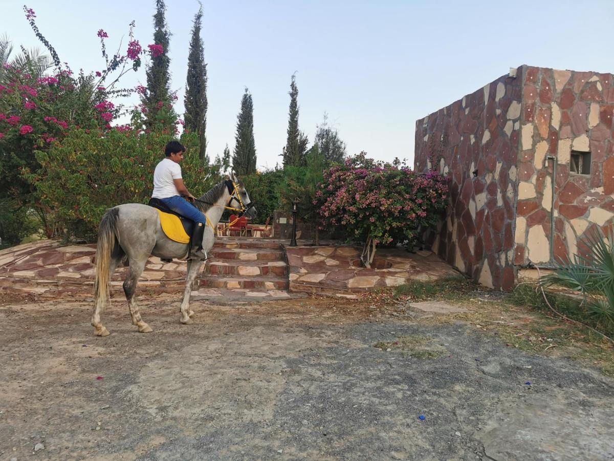 Naseem Country House El-Ula Dış mekan fotoğraf