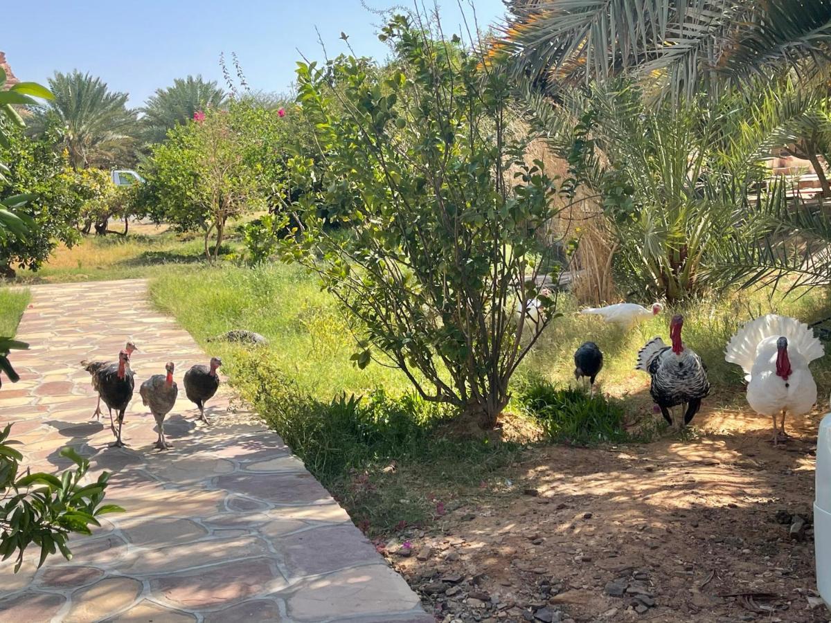 Naseem Country House El-Ula Dış mekan fotoğraf