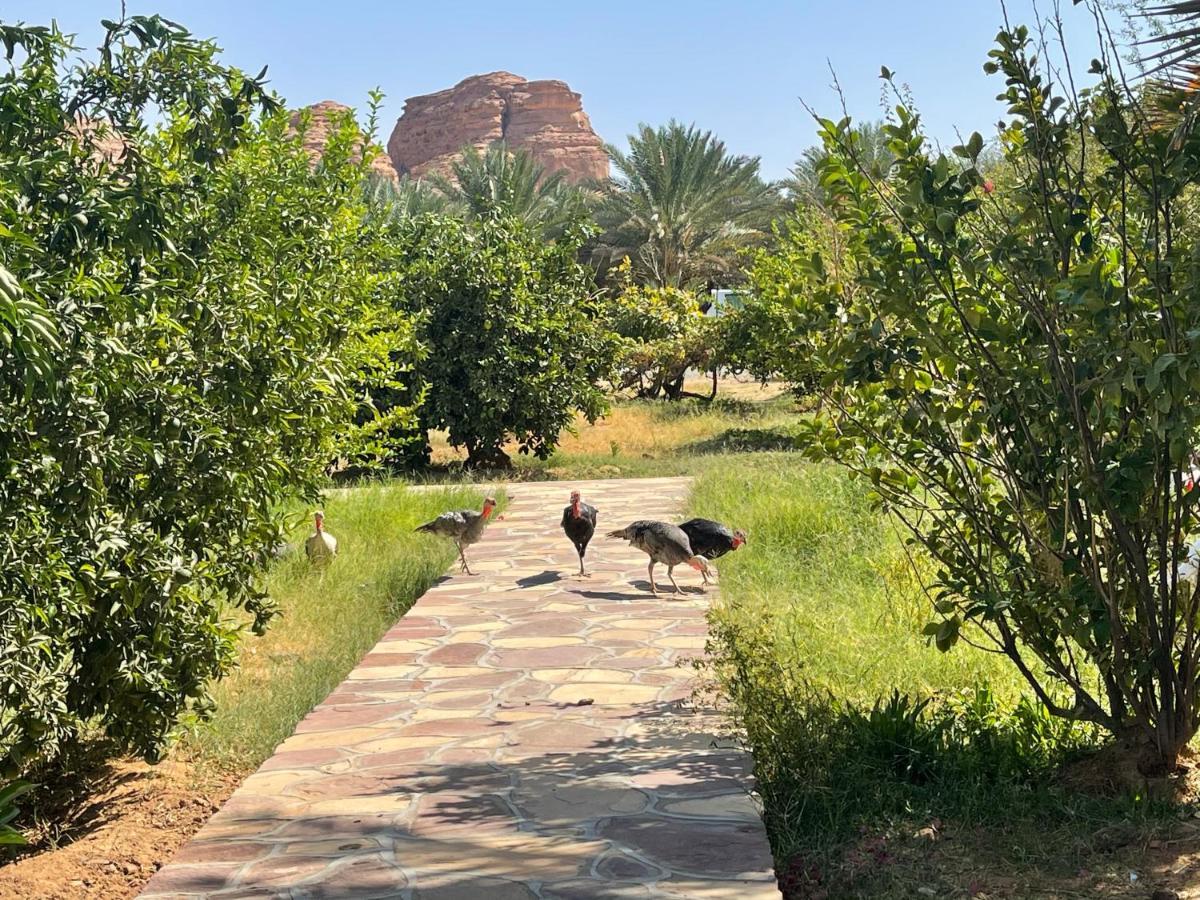 Naseem Country House El-Ula Dış mekan fotoğraf