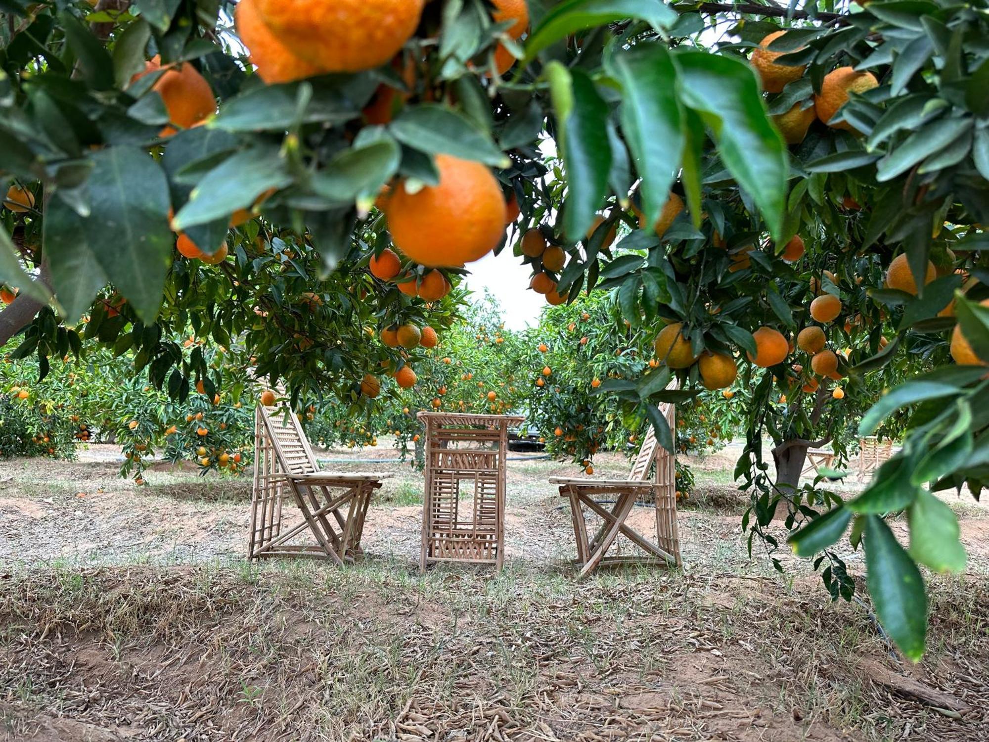 Naseem Country House El-Ula Dış mekan fotoğraf