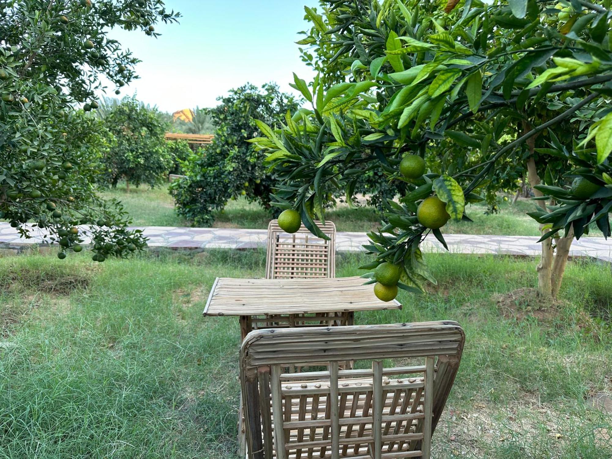 Naseem Country House El-Ula Dış mekan fotoğraf