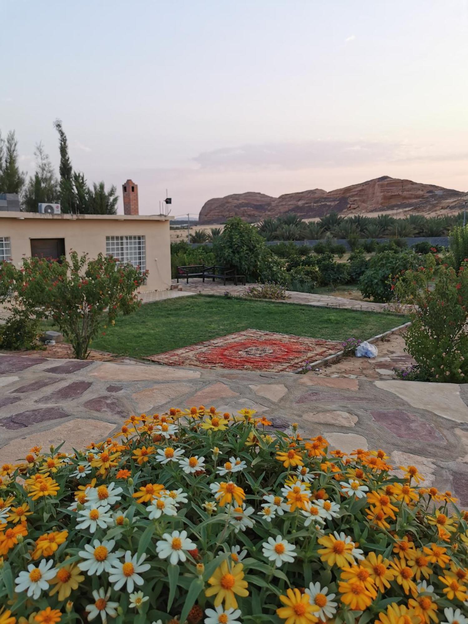 Naseem Country House El-Ula Dış mekan fotoğraf