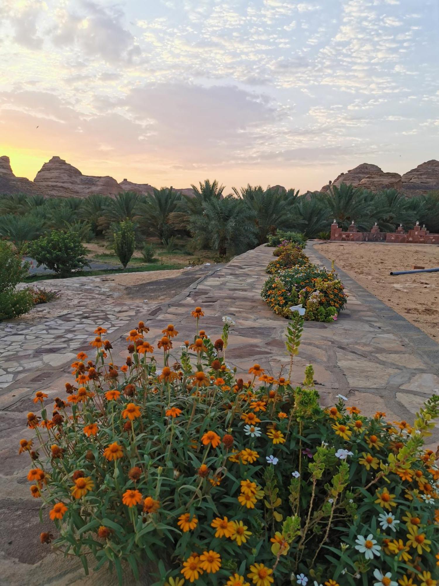 Naseem Country House El-Ula Dış mekan fotoğraf